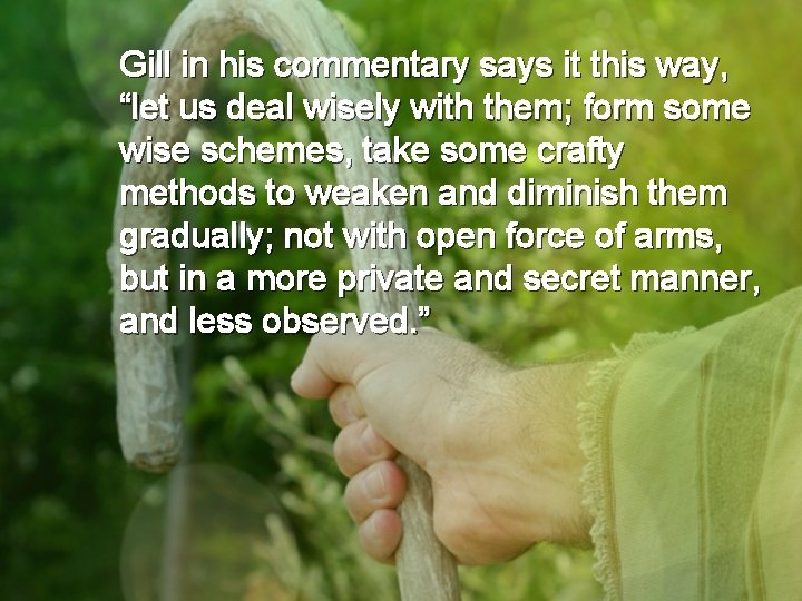 Gill in his commentary says it this way, “let us deal wisely with them;