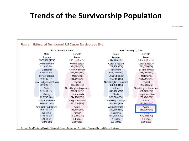 Trends of the Survivorship Population 