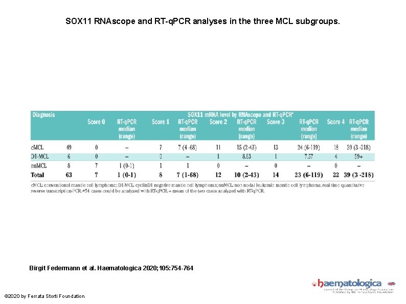 SOX 11 RNAscope and RT-q. PCR analyses in the three MCL subgroups. Birgit Federmann