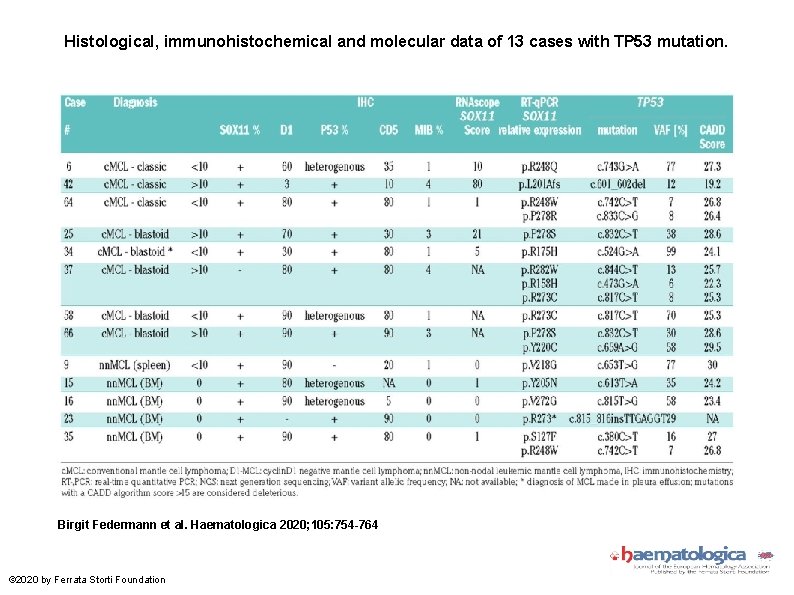 Histological, immunohistochemical and molecular data of 13 cases with TP 53 mutation. Birgit Federmann