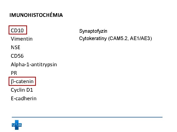 IMUNOHISTOCHÉMIA CD 10 Vimentin NSE CD 56 Alpha-1 -antitrypsin PR b-catenin Cyclin D 1