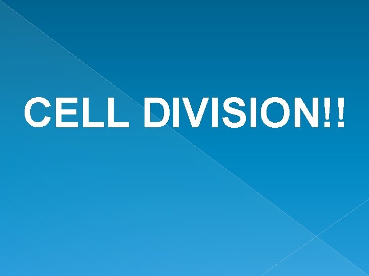 CELL DIVISION!! 