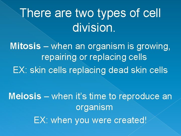 There are two types of cell division. Mitosis – when an organism is growing,