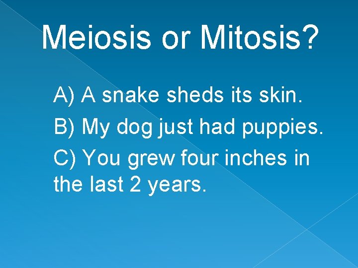 Meiosis or Mitosis? A) A snake sheds its skin. B) My dog just had