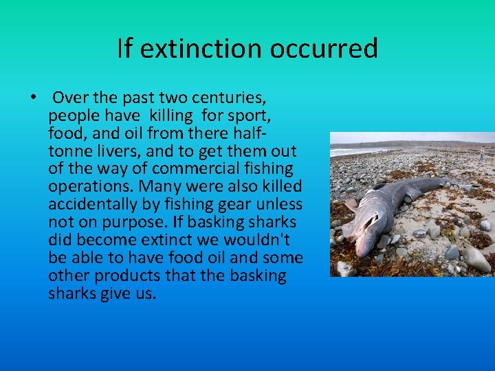 If extinction occurred • Over the past two centuries, people have killing for sport,