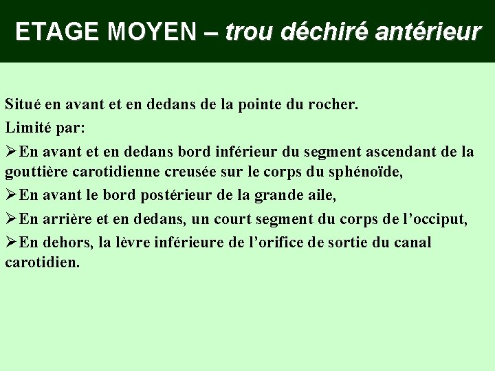 ETAGE MOYEN – trou déchiré antérieur Situé en avant et en dedans de la