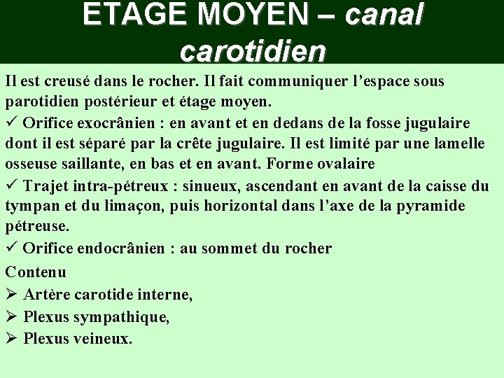 ETAGE MOYEN – canal carotidien Il est creusé dans le rocher. Il fait communiquer