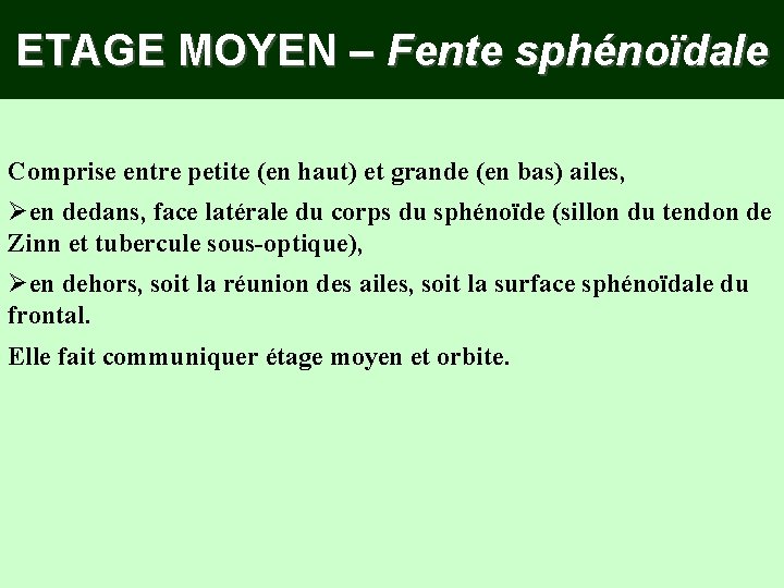 ETAGE MOYEN – Fente sphénoïdale Comprise entre petite (en haut) et grande (en bas)