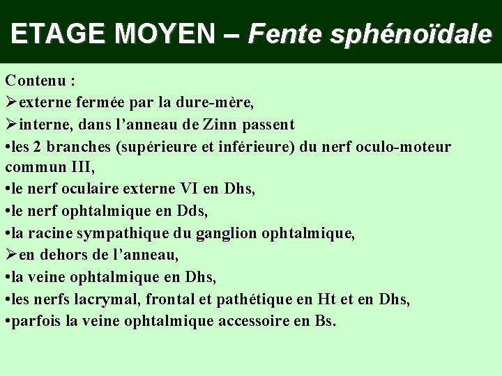 ETAGE MOYEN – Fente sphénoïdale Contenu : Øexterne fermée par la dure-mère, Øinterne, dans