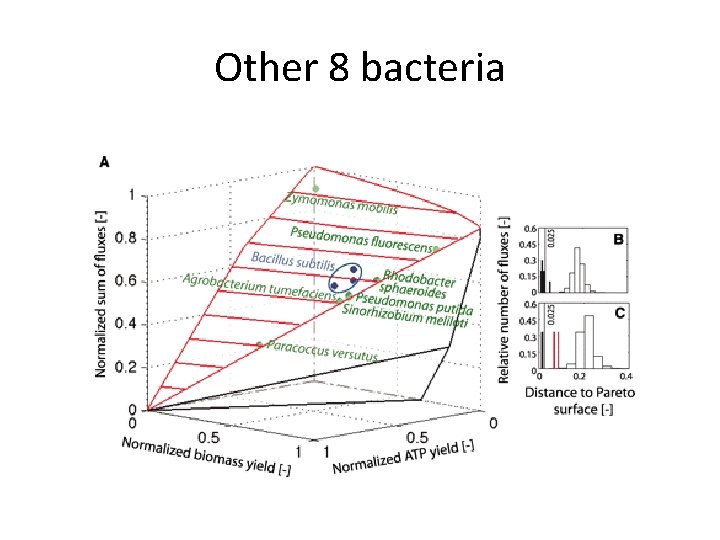 Other 8 bacteria 