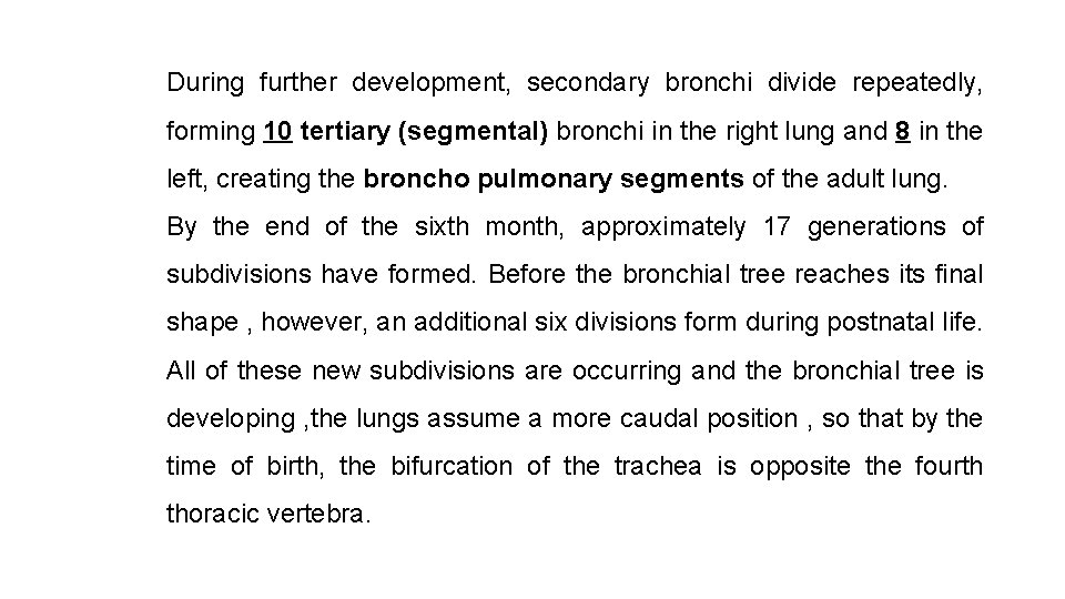 During further development, secondary bronchi divide repeatedly, forming 10 tertiary (segmental) bronchi in the