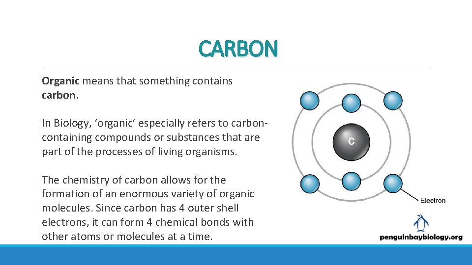 CARBON Organic means that something contains carbon. In Biology, ‘organic’ especially refers to carboncontaining