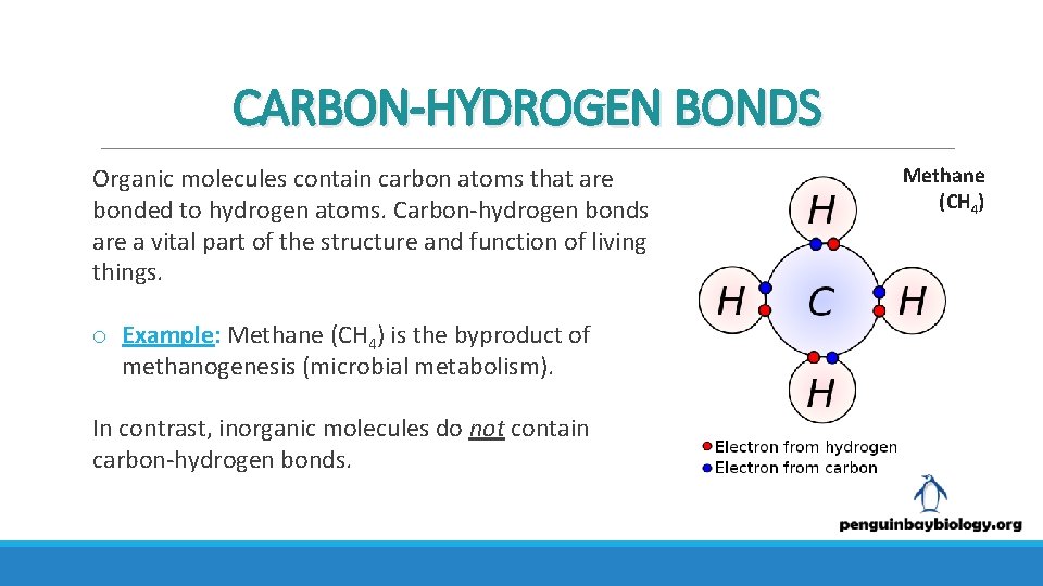 CARBON-HYDROGEN BONDS Organic molecules contain carbon atoms that are bonded to hydrogen atoms. Carbon-hydrogen