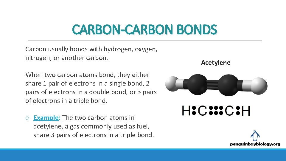 CARBON-CARBON BONDS Carbon usually bonds with hydrogen, oxygen, nitrogen, or another carbon. When two