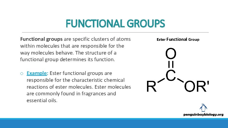 FUNCTIONAL GROUPS Functional groups are specific clusters of atoms within molecules that are responsible