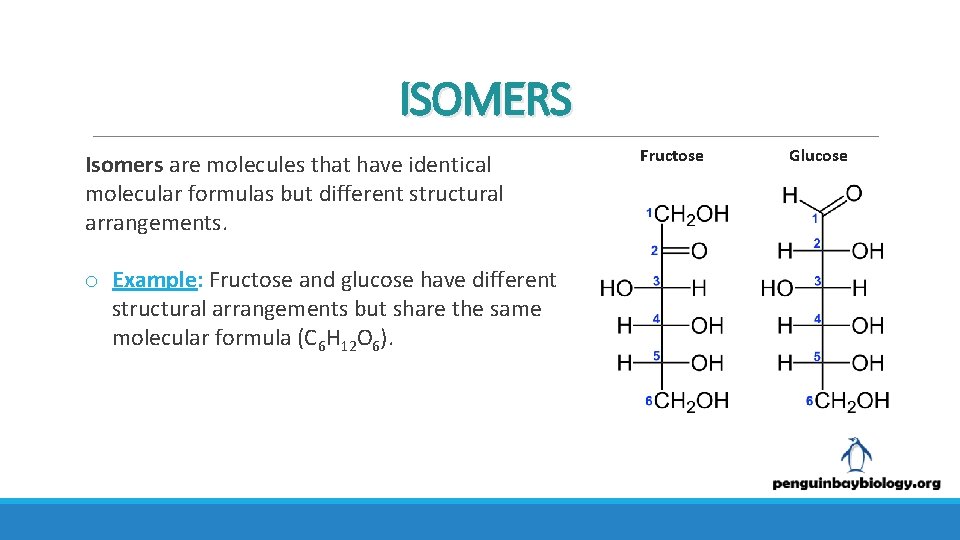 ISOMERS Isomers are molecules that have identical molecular formulas but different structural arrangements. o