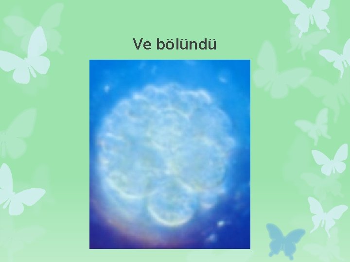 Ve bölündü 