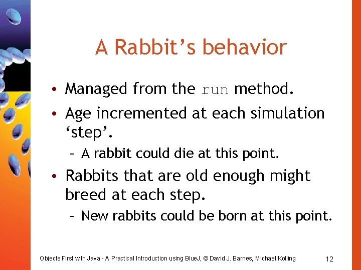 A Rabbit’s behavior • Managed from the run method. • Age incremented at each