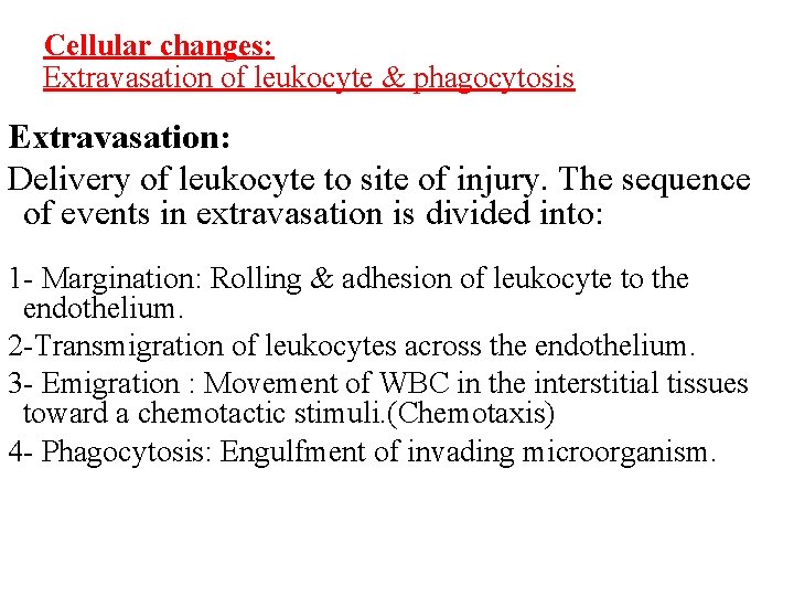 Cellular changes: Extravasation of leukocyte & phagocytosis Extravasation: Delivery of leukocyte to site of