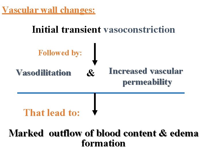 Vascular wall changes: Initial transient vasoconstriction Followed by: Vasodilitation & Increased vascular permeability That