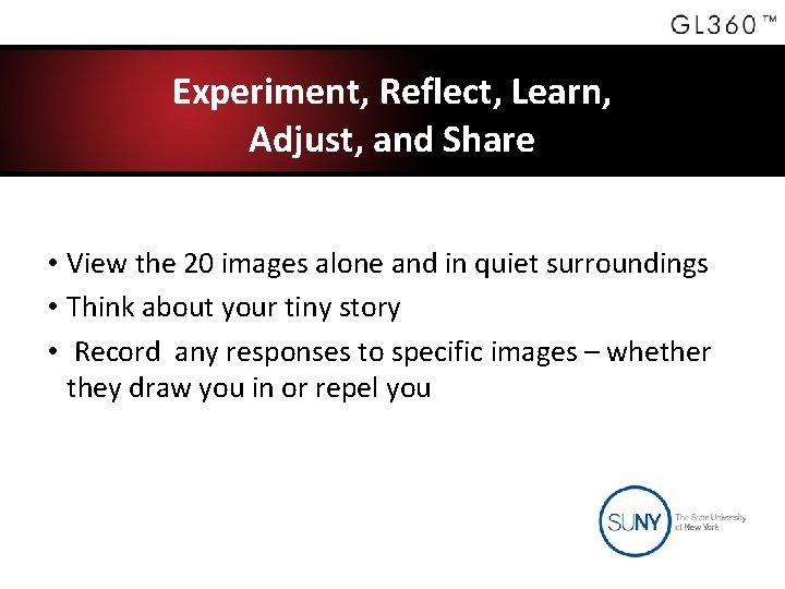 Experiment, Reflect, Learn, Adjust, and Share • View the 20 images alone and in