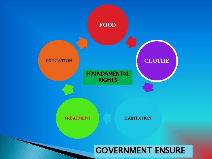 FOOD CLOTHE EDUCATION FOUNDAMENTAL RIGHTS TREATMENT HABITATION GOVERNMENT ENSURE 