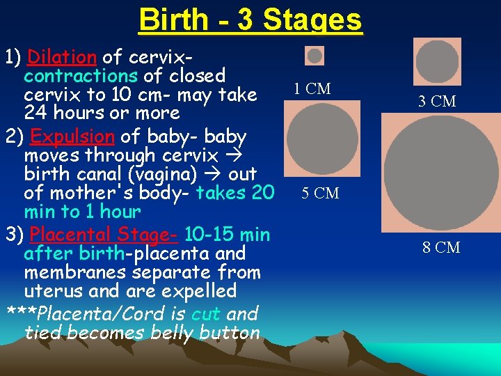 Birth - 3 Stages 1) Dilation of cervixcontractions of closed 1 CM cervix to