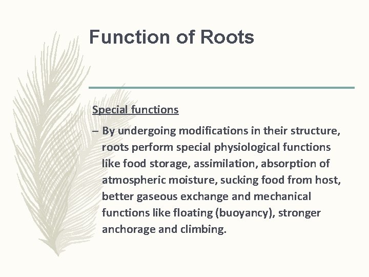 Function of Roots Special functions – By undergoing modifications in their structure, roots perform Function of Roots Special functions – By undergoing modifications in their structure, roots perform