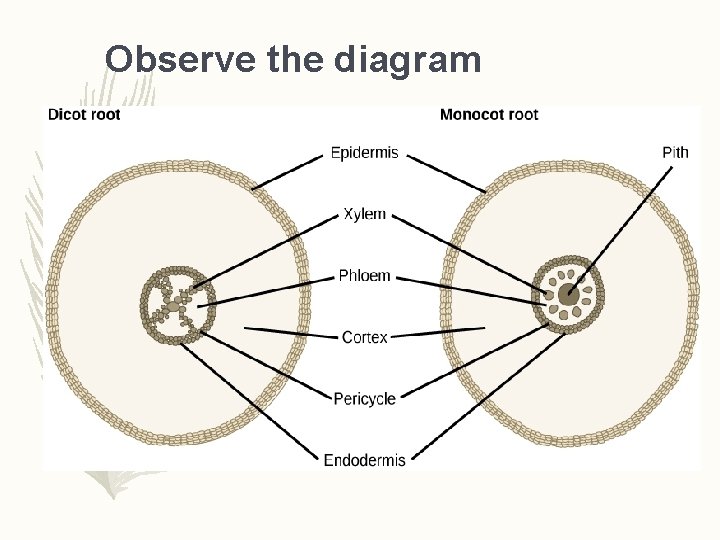 Observe the diagram  Observe the diagram
