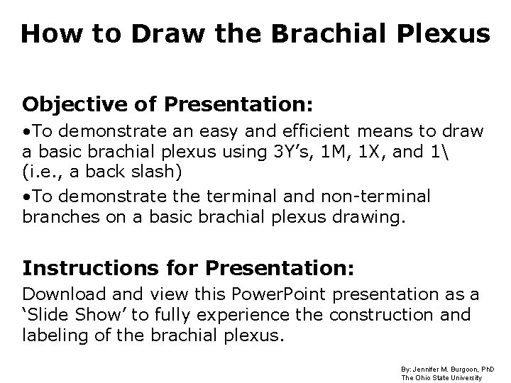 How to Draw the Brachial Plexus Objective of Presentation: • To demonstrate an easy
