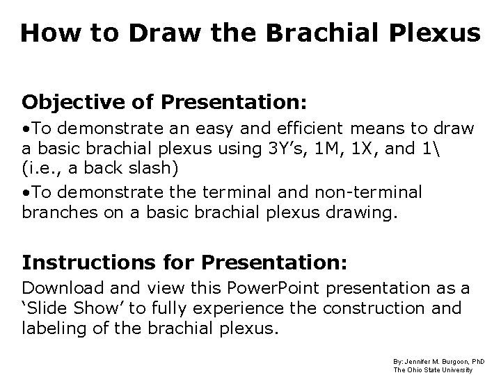 How to Draw the Brachial Plexus Objective of Presentation: • To demonstrate an easy How to Draw the Brachial Plexus Objective of Presentation: • To demonstrate an easy