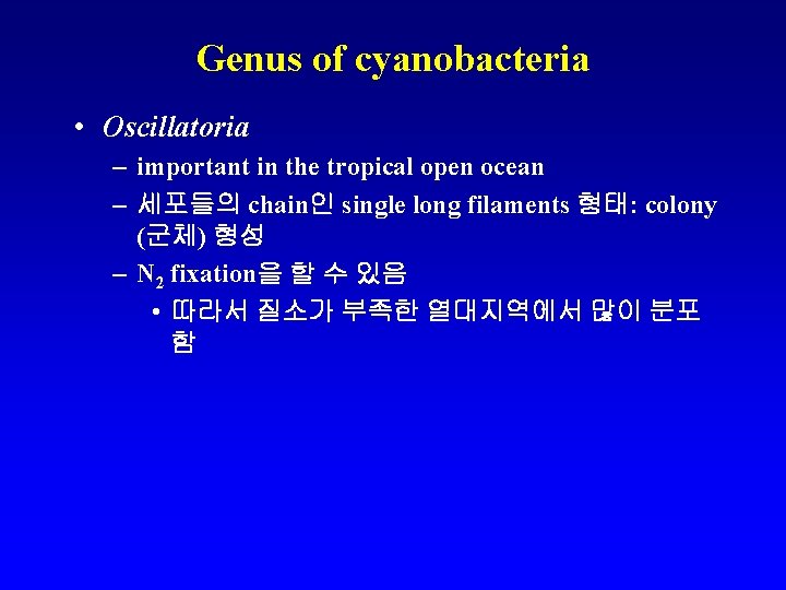 Genus of cyanobacteria • Oscillatoria – important in the tropical open ocean – 세포들의