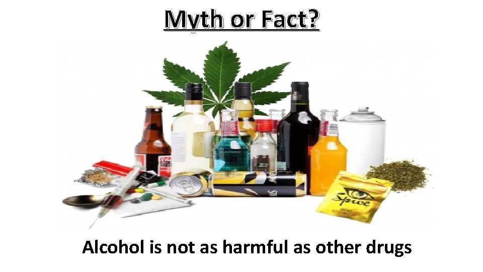 Myth or Fact? Alcohol is not as harmful as other drugs 