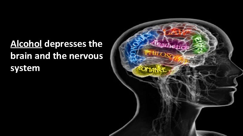 Alcohol depresses the brain and the nervous system 