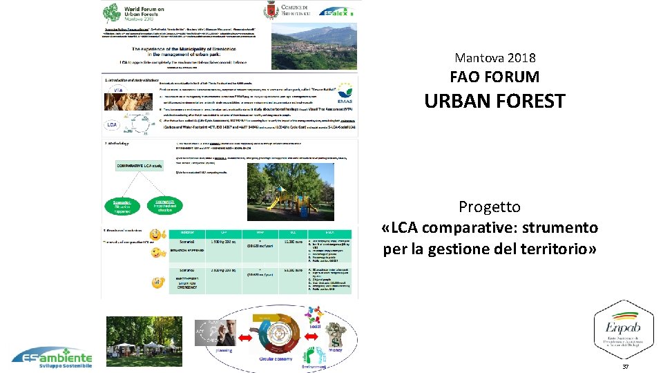 3 Mantova 2018 FAO FORUM URBAN FOREST Progetto «LCA comparative: strumento per la gestione