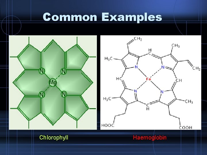 Common Examples Chlorophyll Haemoglobin 