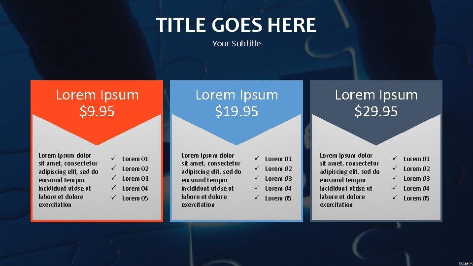 TITLE GOES HERE Your Subtitle Lorem Ipsum $9. 95 Lorem ipsum dolor sit amet,