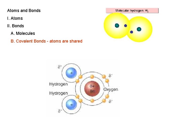 Atoms and Bonds I. Atoms II. Bonds A. Molecules B. Covalent Bonds - atoms