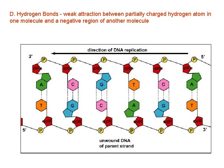 D. Hydrogen Bonds - weak attraction between partially charged hydrogen atom in one molecule