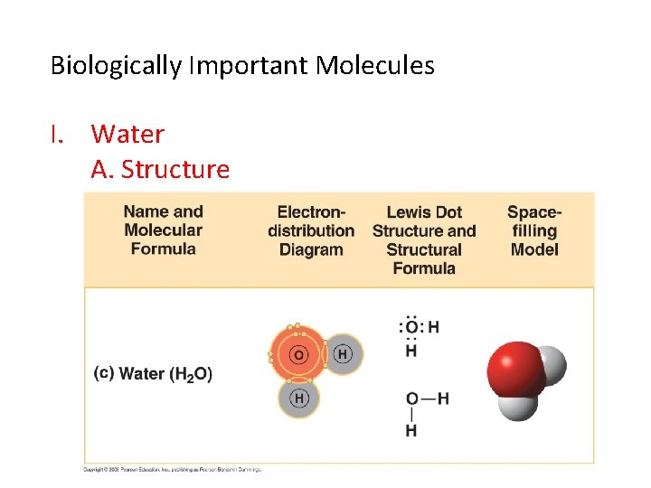 Biologically Important Molecules I. Water A. Structure - polar covalent bonds 