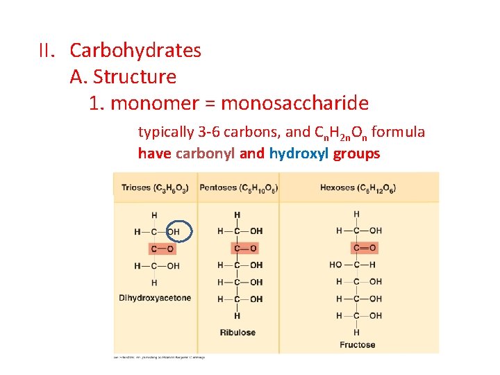 II. Carbohydrates A. Structure 1. monomer = monosaccharide typically 3 -6 carbons, and Cn.