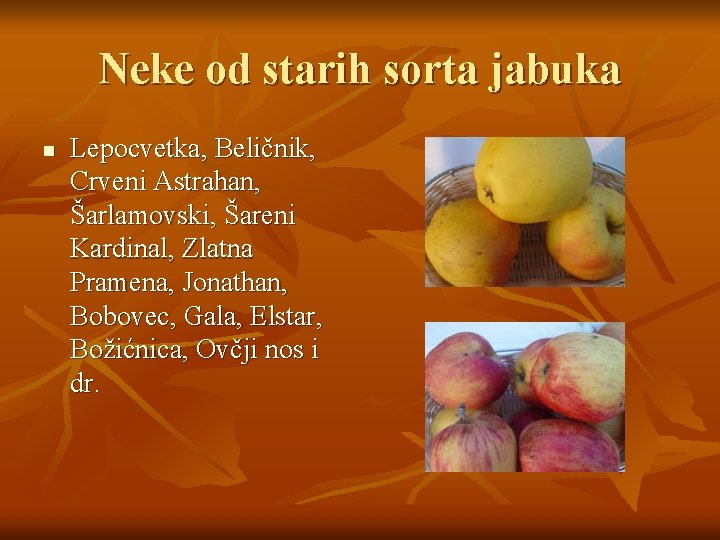 Neke od starih sorta jabuka n Lepocvetka, Beličnik, Crveni Astrahan, Šarlamovski, Šareni Kardinal, Zlatna