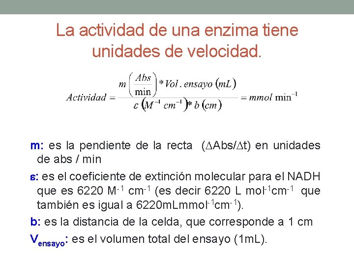 La actividad de una enzima tiene unidades de velocidad. m: es la pendiente de