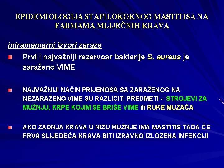 EPIDEMIOLOGIJA STAFILOKOKNOG MASTITISA NA FARMAMA MLIJEČNIH KRAVA intramamarni izvori zaraze Prvi i najvažniji rezervoar