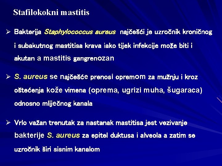 Stafilokokni mastitis Ø Bakterija Staphylococcus aureus najčešći je uzročnik kroničnog i subakutnog mastitisa krava