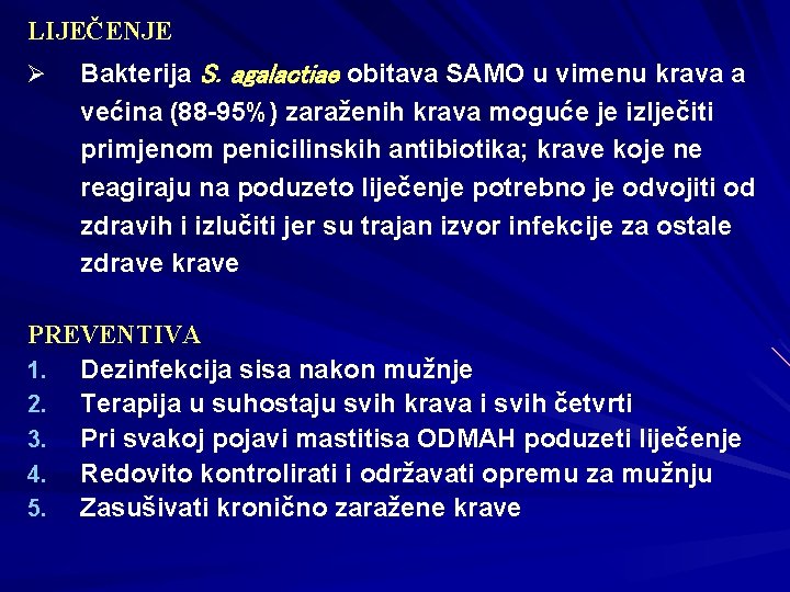 LIJEČENJE Ø Bakterija S. agalactiae obitava SAMO u vimenu krava a većina (88 -95%)