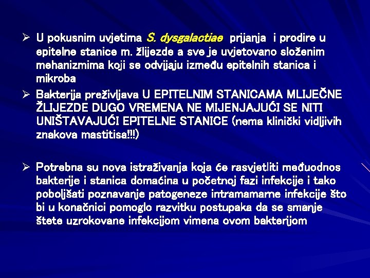 Ø U pokusnim uvjetima S. dysgalactiae prijanja i prodire u epitelne stanice m. žlijezde