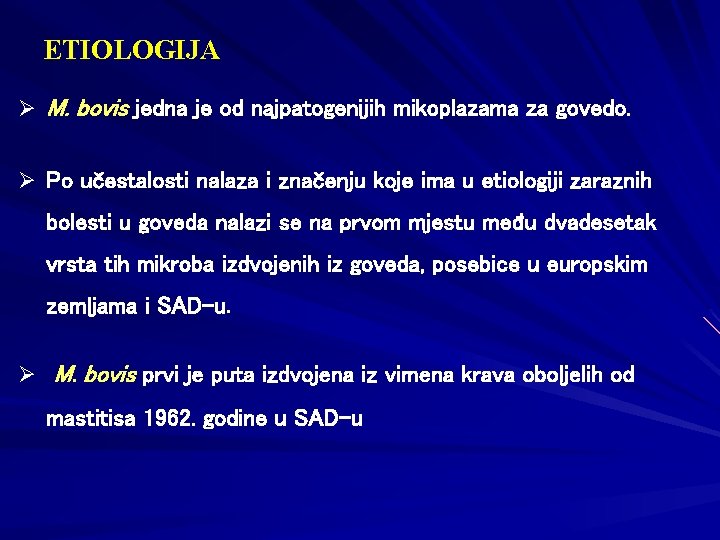 ETIOLOGIJA Ø M. bovis jedna je od najpatogenijih mikoplazama za govedo. Ø Po učestalosti