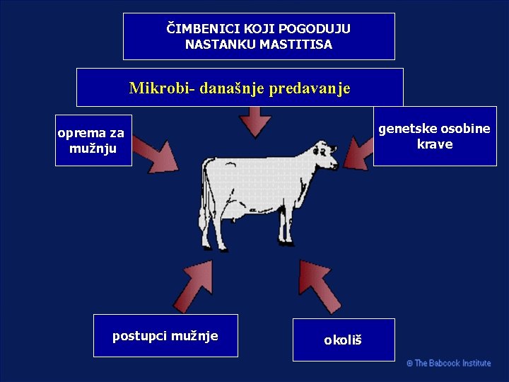 ČIMBENICI KOJI POGODUJU NASTANKU MASTITISA Mikrobi- današnje predavanje genetske osobine krave oprema za mužnju