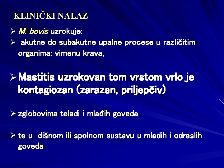 KLINIČKI NALAZ Ø M. bovis uzrokuje: Ø akutne do subakutne upalne procese u različitim